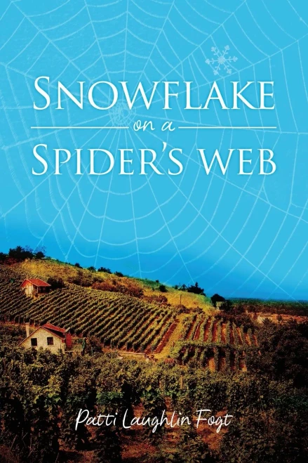 Snowflake On A Spider'S Web
