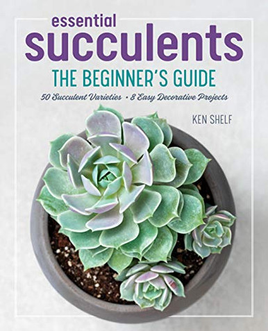 Essential Succulents: The Beginner'S Guide