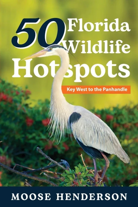 50 Florida Wildlife Hotspots: A Guide For Photographers And Wildlife Enthusiasts
