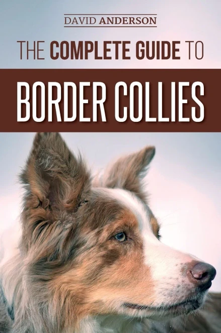 The Complete Guide To Border Collies : Training, Teaching, Feeding, Raising, And Loving Your New Border Collie Puppy