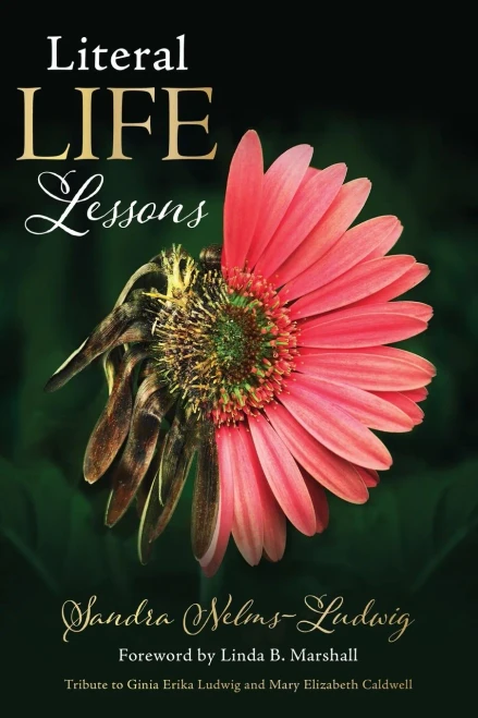 Literal Life Lessons - 9781662821554