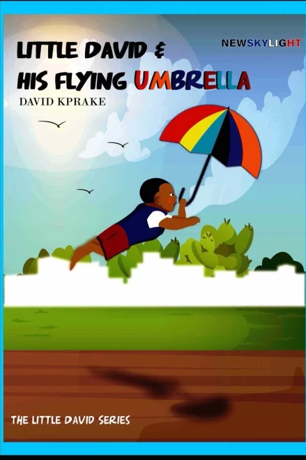 Newskylight : Little David And His Flying Umbrella