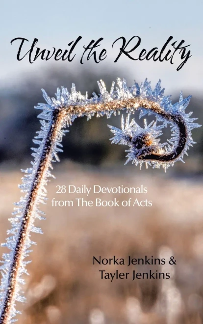 Unveil The Reality: 28 Daily Devotionals From The Book Of Acts (Hardcover)