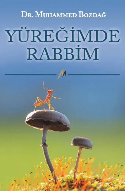 Yuregimde Rabbim