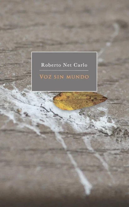 Voz Sin Mundo : Book Of Poems