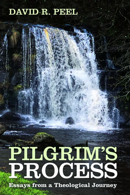 Pilgrim'S Process: Essays From A Theological Journey