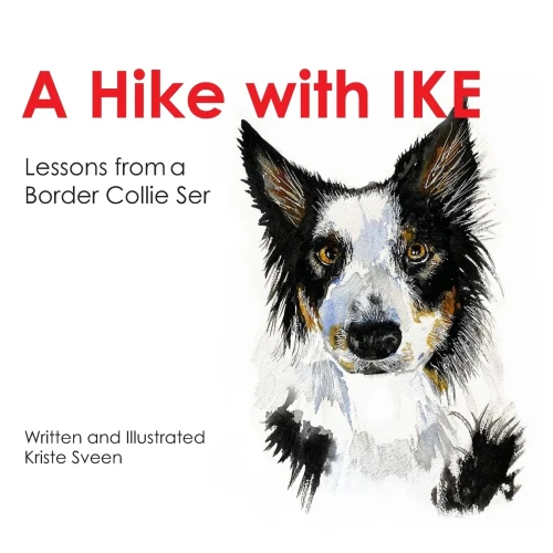 A Hike With Ike: Lessons From A Border Collie