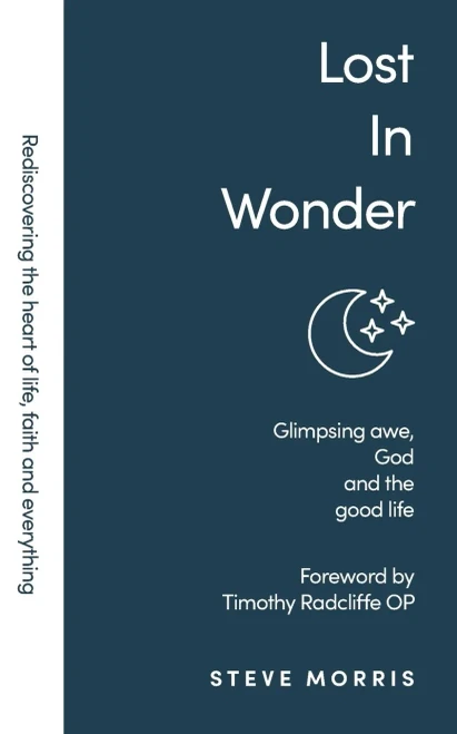 Lost In Wonder: Glimpsing Awe, God And The Good Life (Rediscovering Faith Life And Everything)