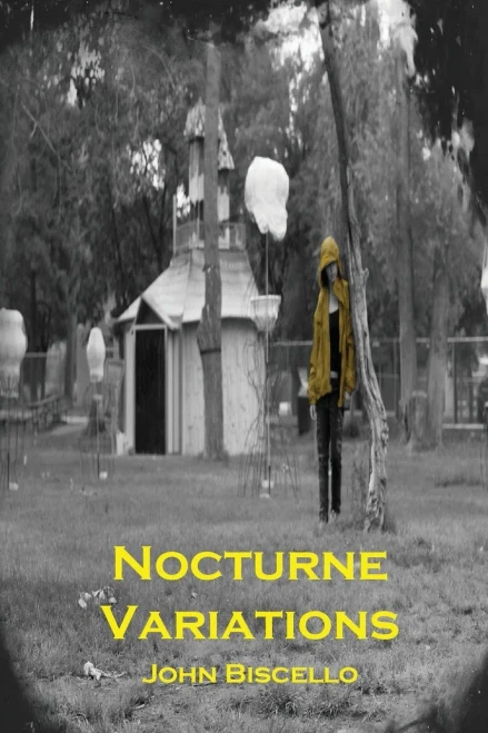 Nocturne Variations