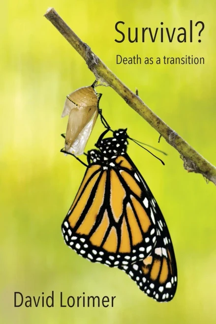 Survival? Death As A Transition