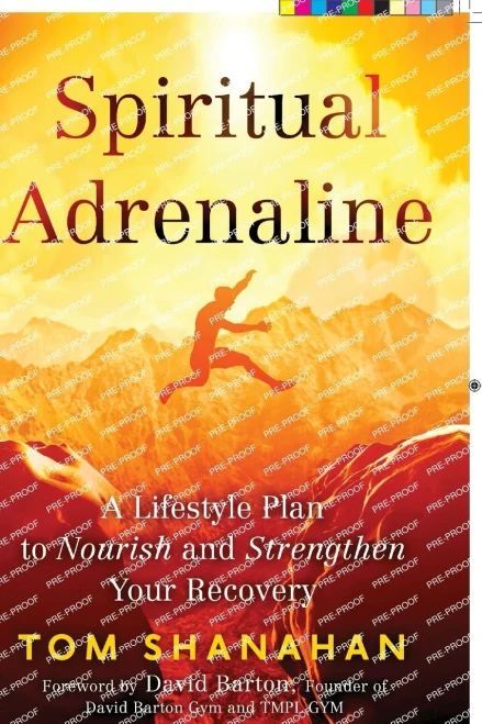 Spiritual Adrenaline : A Lifestyle Plan To Nourish And Strengthen Your Recovery