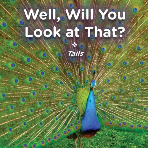 Well, Will You Look At That? Tails