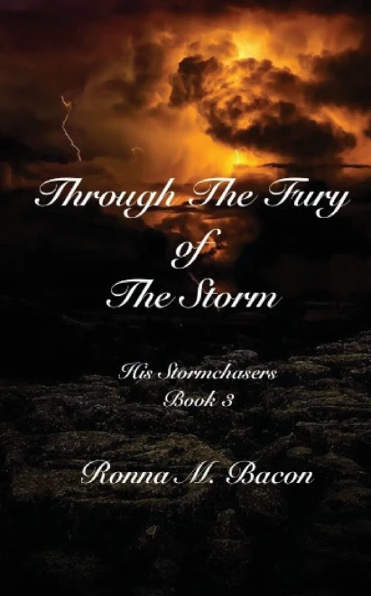 Through The Fury Of The Storm