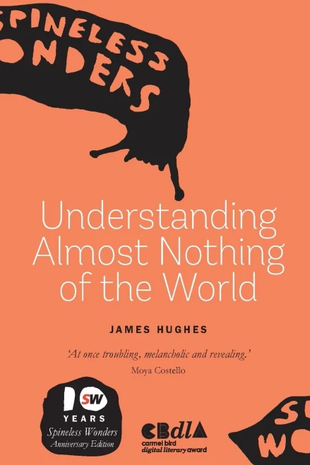 Understanding Almost Nothing Of The World