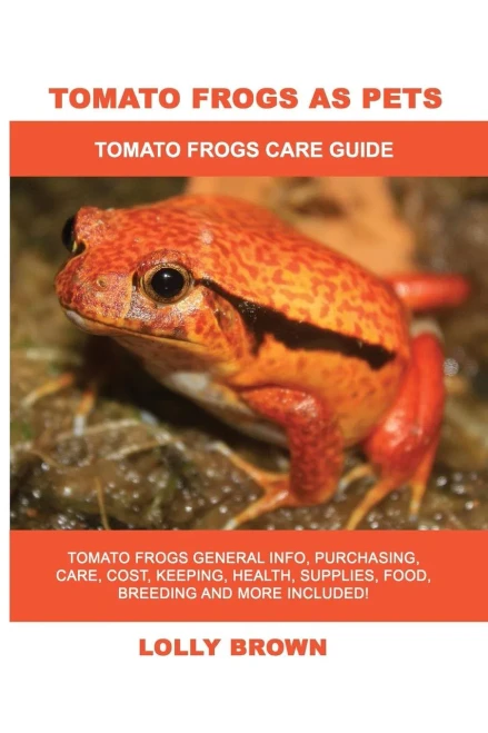 Tomato Frogs As Pets : Tomato Frogs General Info, Purchasing, Care, Cost, Keeping, Health, Supplies, Food, Breeding And More Included! Tomato Frogs Care Guide