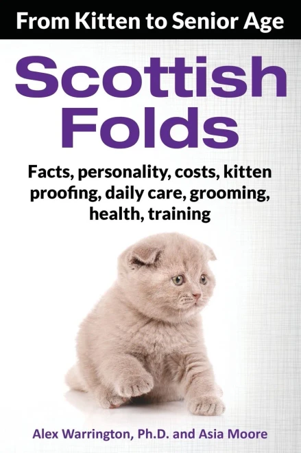 Scottish Folds : From Kitten To Senior Age