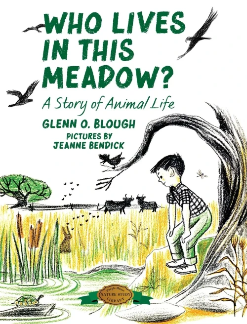 Who Lives In This Meadow?: A Story Of Animal Life