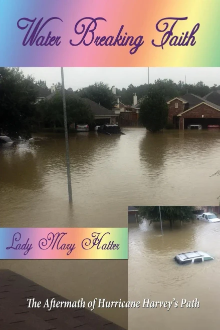Water Breaking Faith : The Aftermath Of Hurricane Harvey'S Path