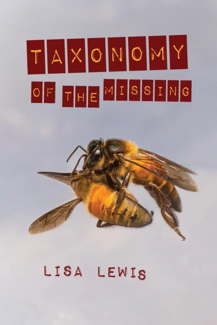 Taxonomy Of The Missing