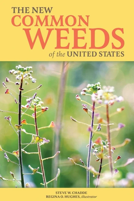 The New Common Weeds Of The United States