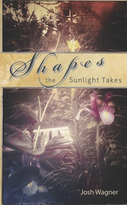 Shapes The Sunlight Takes