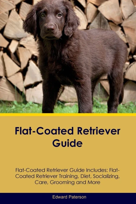 Flat-Coated Retriever Guide Flat-Coated Retriever Guide Includes: Flat-Coated Retriever Training, Diet, Socializing, Care, Grooming, And More