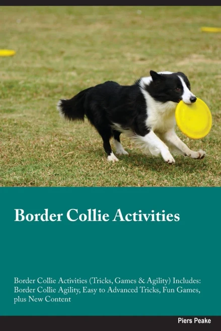 Border Collie Activities Border Collie Activities (Tricks, Games & Agility) Includes: Border Collie Agility, Easy To Advanced Tricks, Fun Games, Plus New Content