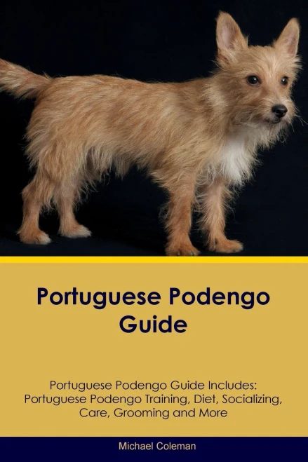 Portuguese Podengo Guide Portuguese Podengo Guide Includes: Portuguese Podengo Training, Diet, Socializing, Care, Grooming, Breeding And More