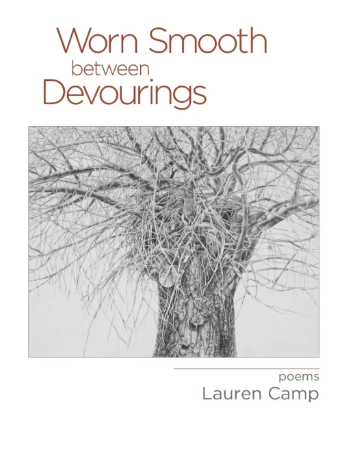 Worn Smooth Between Devourings