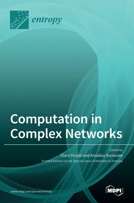 Computation In Complex Networks