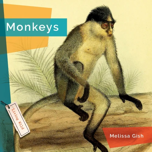 Monkeys (Living Wild)