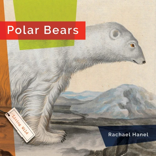 Polar Bears (Living Wild)