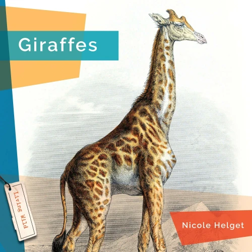 Giraffes (Living Wild)
