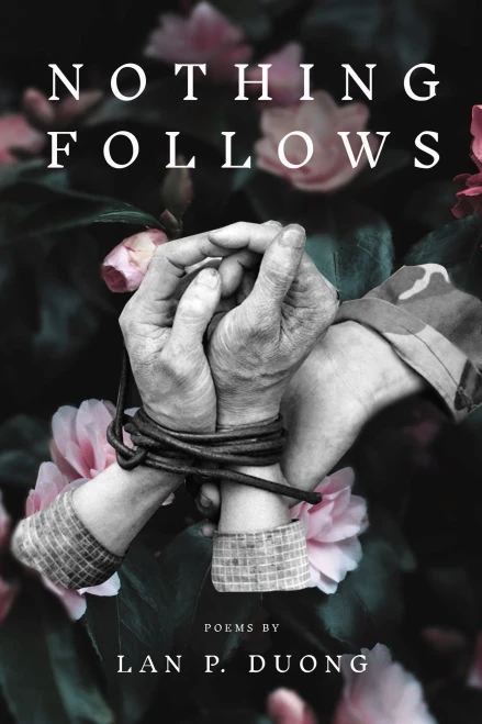 Nothing Follows (Diasporic Vietnamese Artists Network Series)