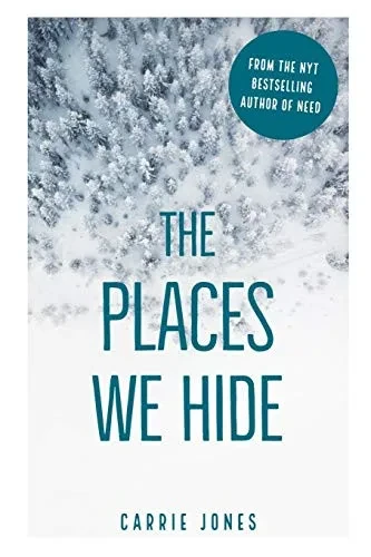 The Places We Hide (Bar Harbor Rose Mysteries)