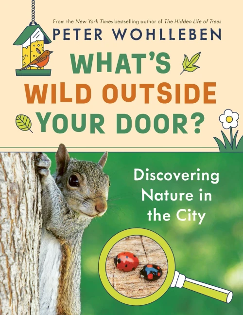 What'S Wild Outside Your Door?: Discovering Nature In The City