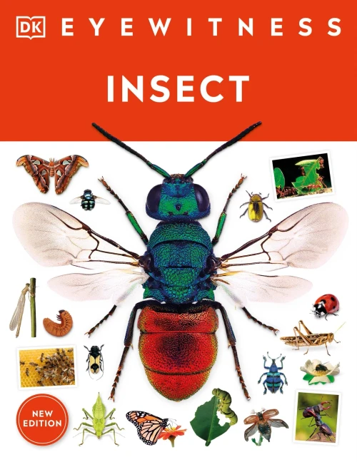 Eyewitness Insect (Dk Eyewitness)