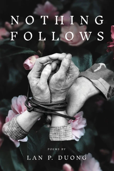 Nothing Follows (Diasporic Vietnamese Artists Network Series)