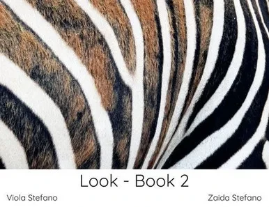 Look - Book 2