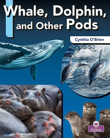 Whale, Dolphin, And Other Pods (Pods, Troops, And Other Animal Groups)