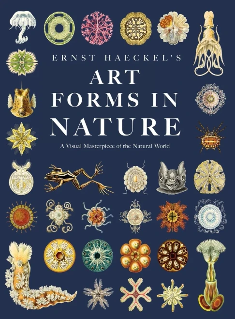 Ernst Haeckel'S Art Forms In Nature: A Visual Masterpiece Of The Natural World
