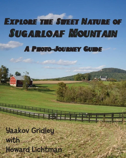 Explore The Sweet Nature Of Sugarloaf Mountain: A Photo-Journey Guide