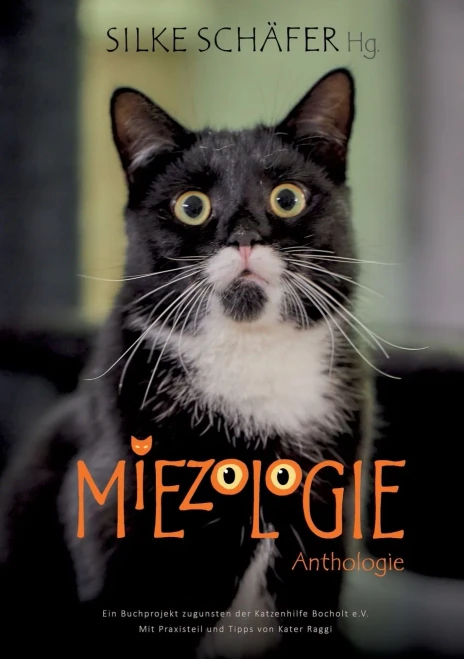 Miezologie: Geschichten Für Die Katz' (German Edition)