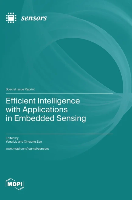 Efficient Intelligence With Applications In Embedded Sensing