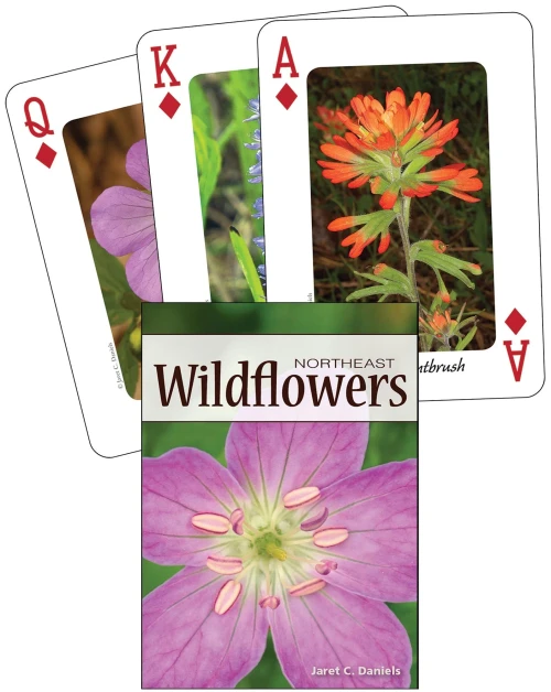 Wildflowers of the Northeast Playing Cards (Nature's Wild Cards)