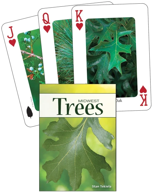Trees of the Midwest Playing Cards (Nature's Wild Cards)