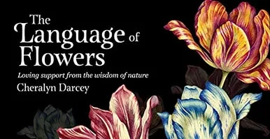 The Language of Flowers: Loving Support from the Wisdom of Nature (Mini Inspiration Cards)