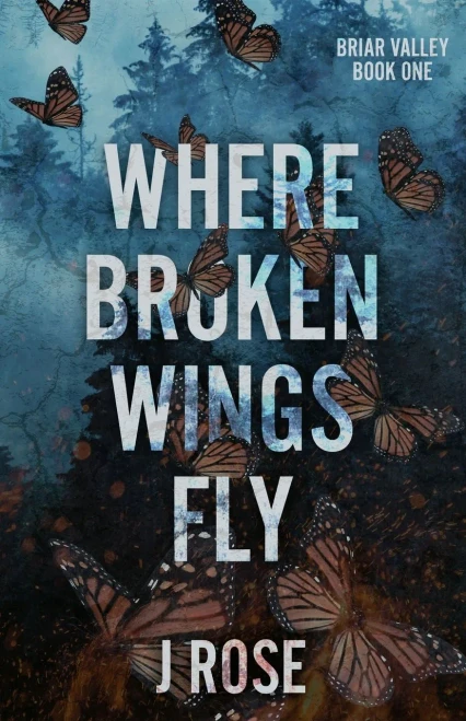 Where Broken Wings Fly: A Small Town Reverse Harem Romance (Briar Valley)