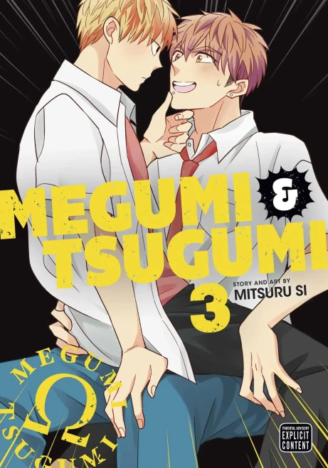 Megumi & Tsugumi, Vol. 3 (3)