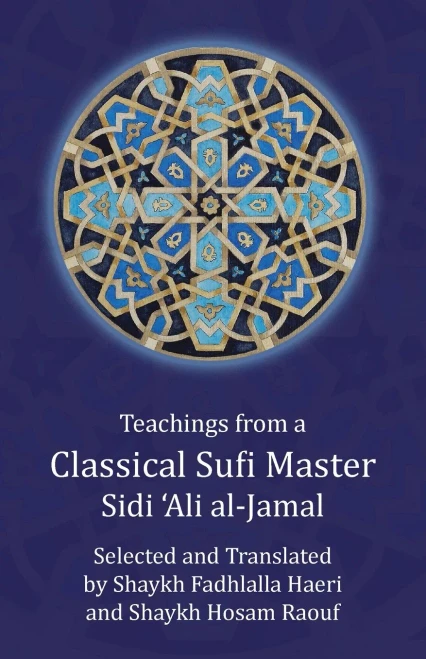 Teachings From A Classical Sufi Master